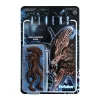 Deals 🛒 ReAction Aliens Alien Warrior Dusk Brown Action Figure 🌟 -Super7 Elegant shop aliensreactionalienwarriorb