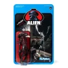 Top 10 💯 ReAction Aliens Bloody Alien Open Mouth Action Figure [Blue Card] 😀 -Super7 Elegant shop aliensreactionbloodyalienopenmouthblue