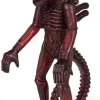 Promo 🎉 ReAction Alien Series 3 Xenomorph 3.75-Inch 4/12 Mystery Mini Figure [Rage Loose] 🥰 -Super7 Elegant shop reactionxenomorphrage