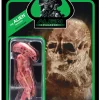Top 10 🤩 ReAction Alien Xenomorph Newborn Action Figure 😉