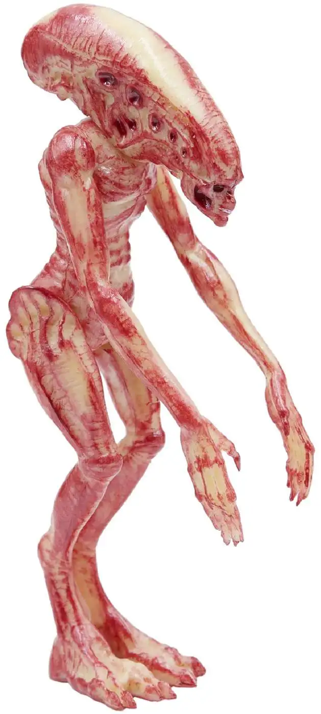 Top 10 π€© ReAction Alien Xenomorph Newborn Action Figure π 3 Top 10 π€© ReAction Alien Xenomorph Newborn Action Figure π - Image 2